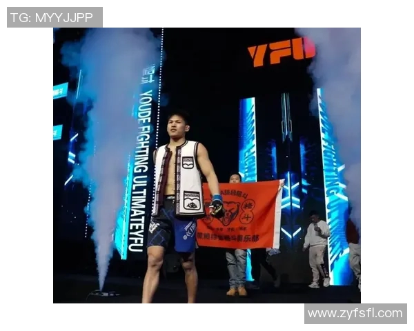 MMA格斗之夜:KO瞬间集锦